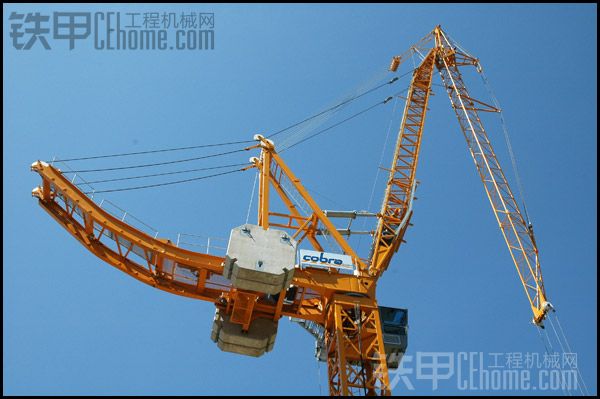 1518053363012048263.jpg 12.jpg