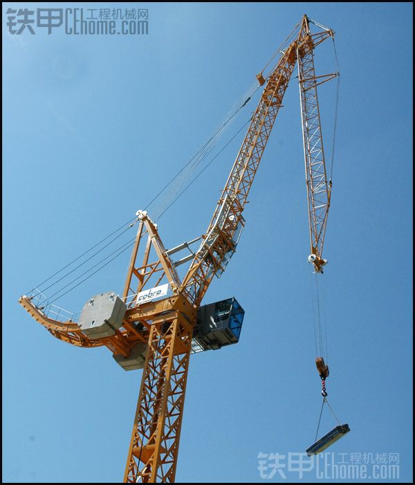 1518053435211005909.jpg 16.jpg